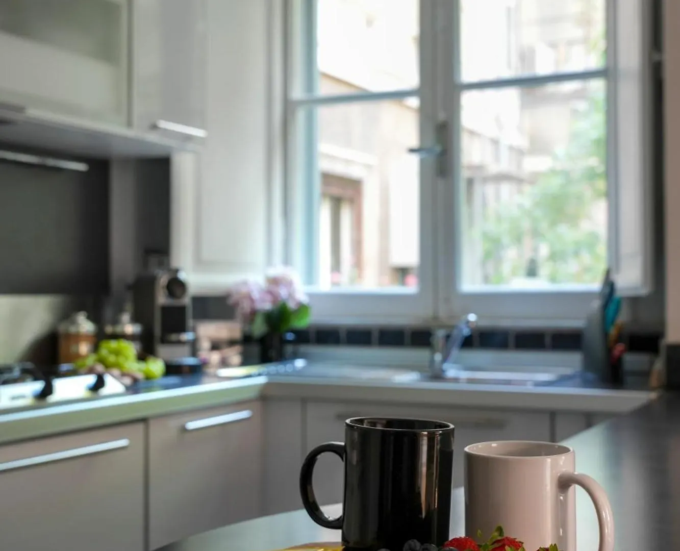 Domus Alexander, Terrace Downtown Apartment Rome